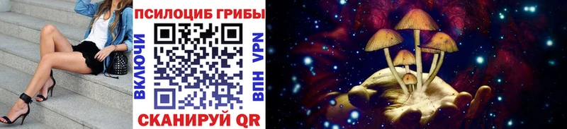 дарнет шоп  ОМГ ОМГ ссылки  Псилоцибиновые грибы мухоморы  Приморско-Ахтарск 